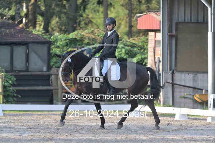 241026 0778