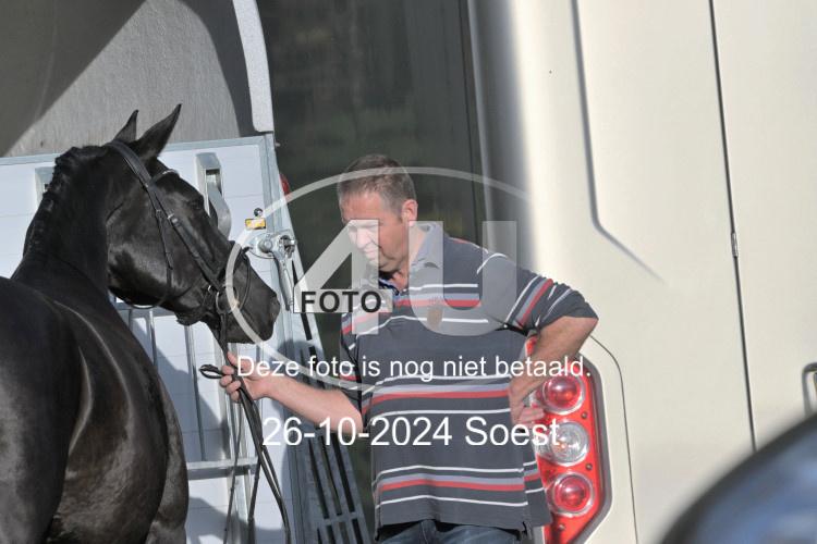 241026 0802