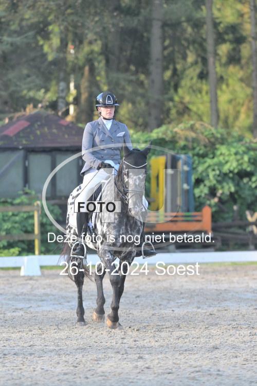 241026 0831