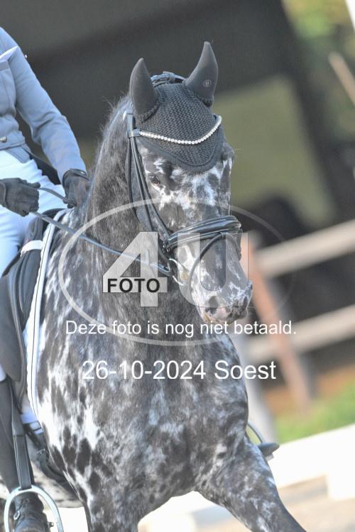 241026 0838