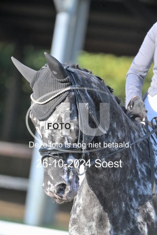 241026 0861