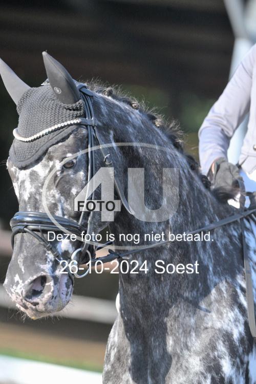 241026 0862