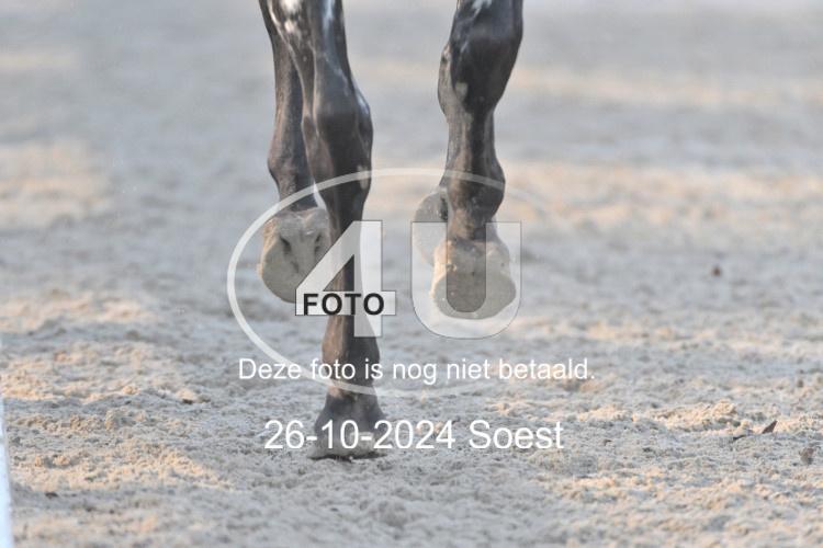241026 0877