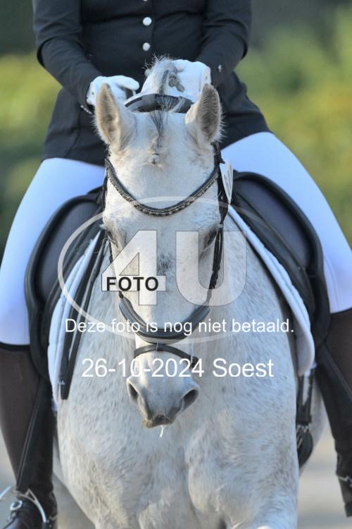 241026 0923