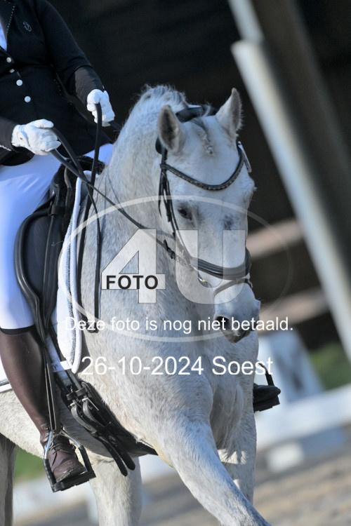 241026 0938