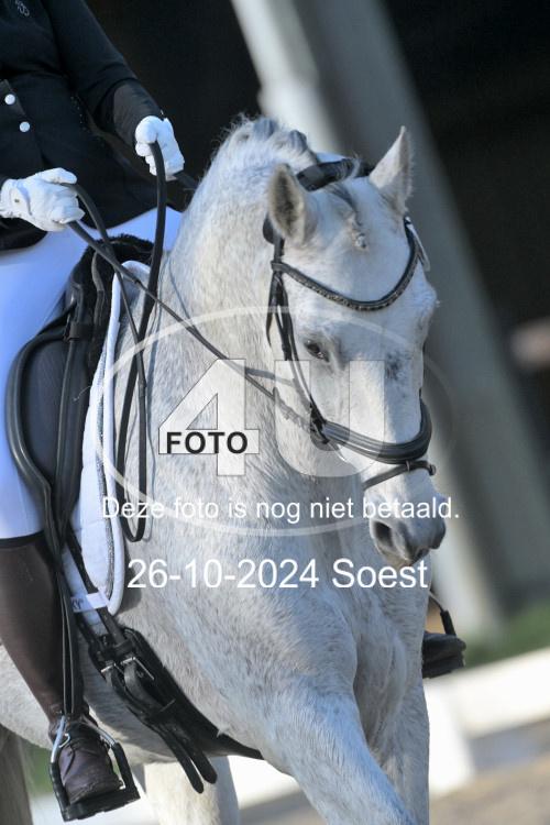 241026 0940