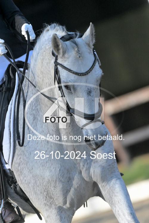 241026 0941
