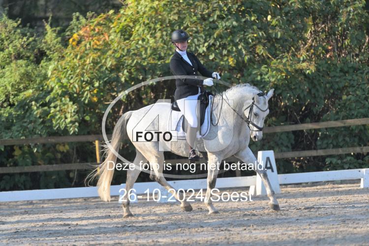 241026 0944