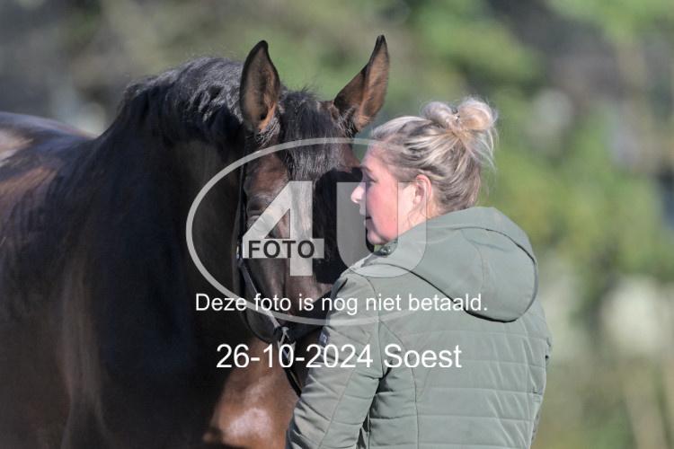 241026 0974