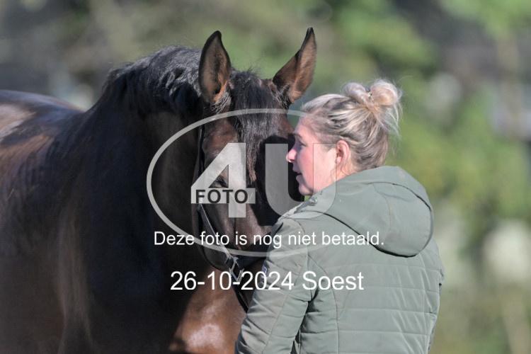 241026 0975