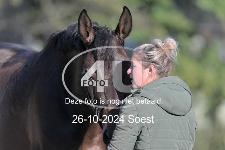 241026 0977