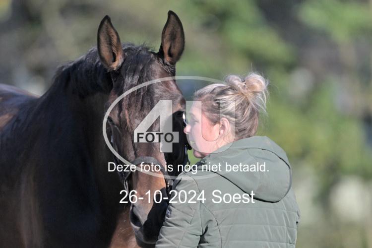 241026 0978