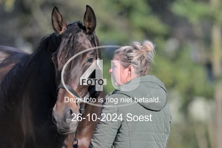 241026 0979