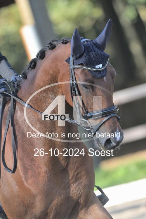 241026 1011