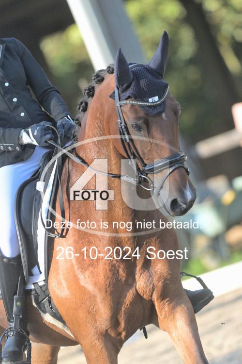 241026 1037