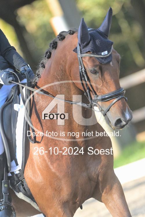 241026 1039