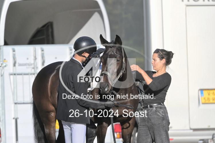 241026 1041