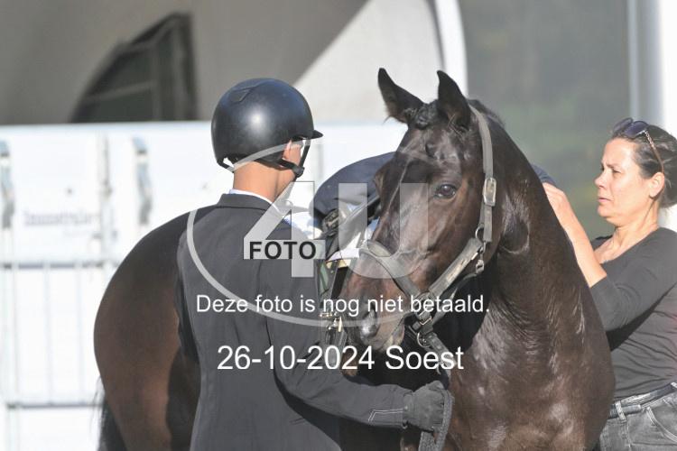 241026 1042
