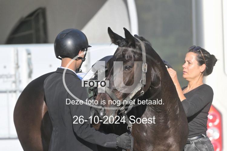 241026 1043