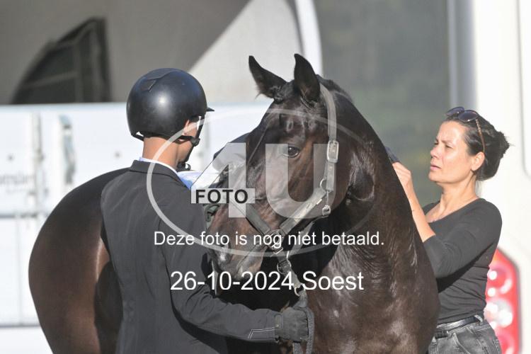 241026 1044
