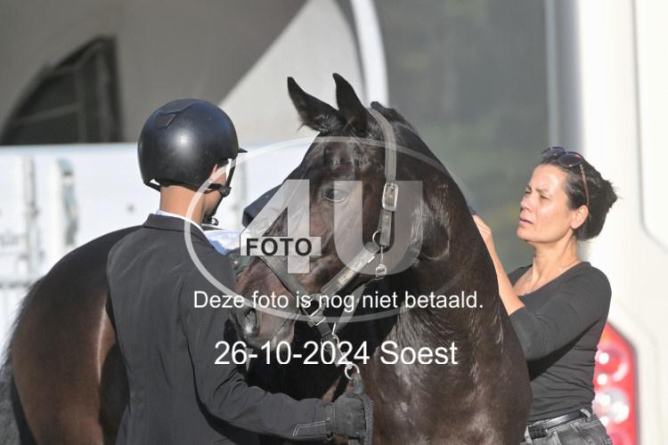 241026 1046