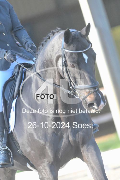 241026 1085