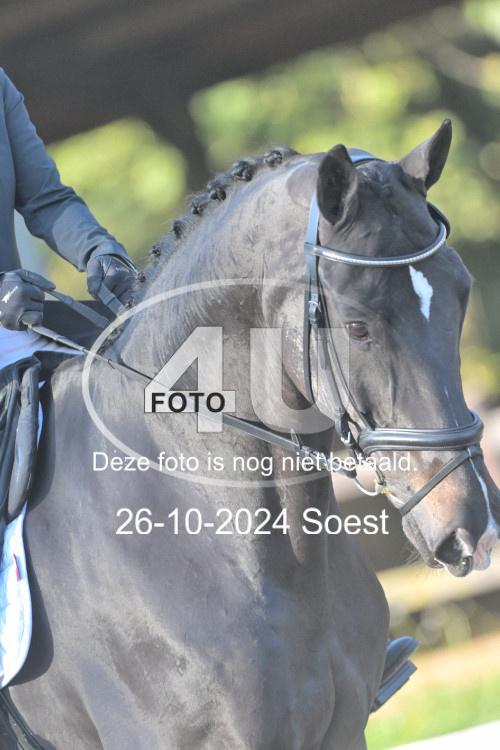 241026 1087