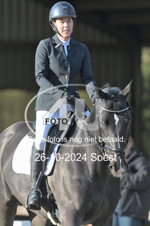 241026 1114