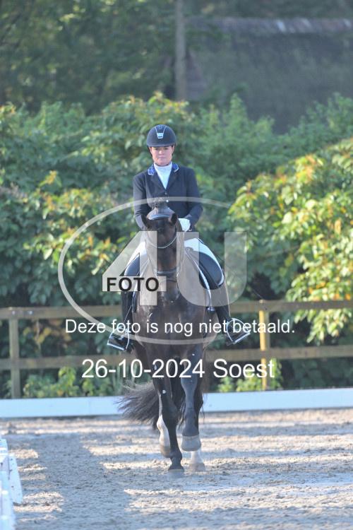 241026 1143