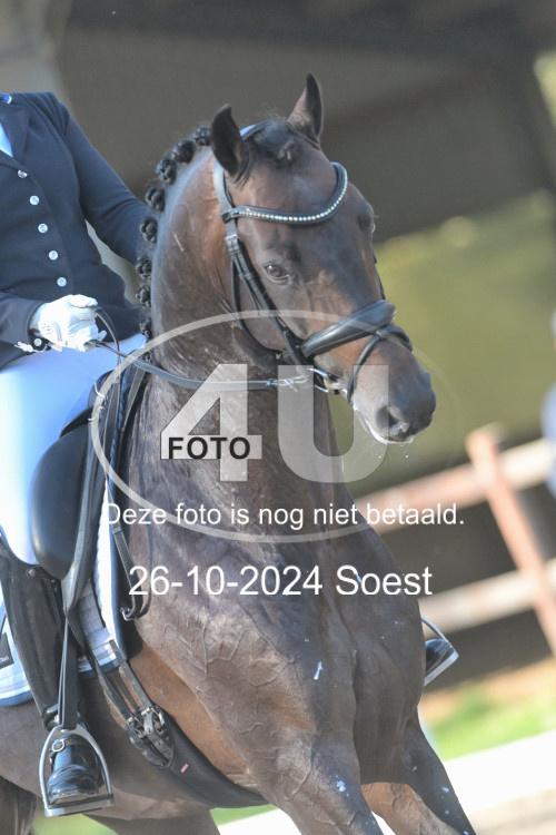 241026 1174