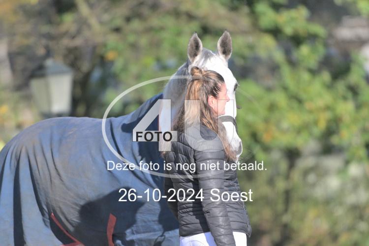 241026 1181