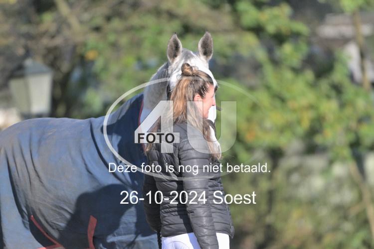 241026 1184