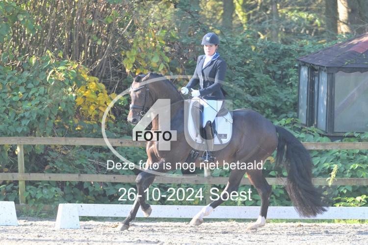241026 1209
