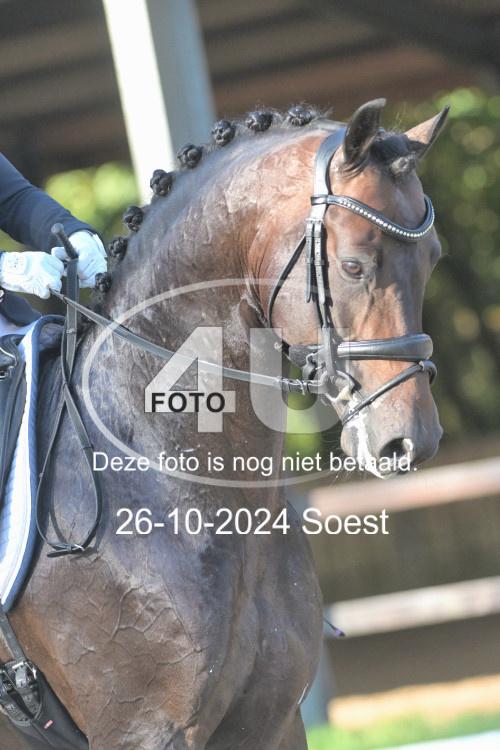 241026 1217
