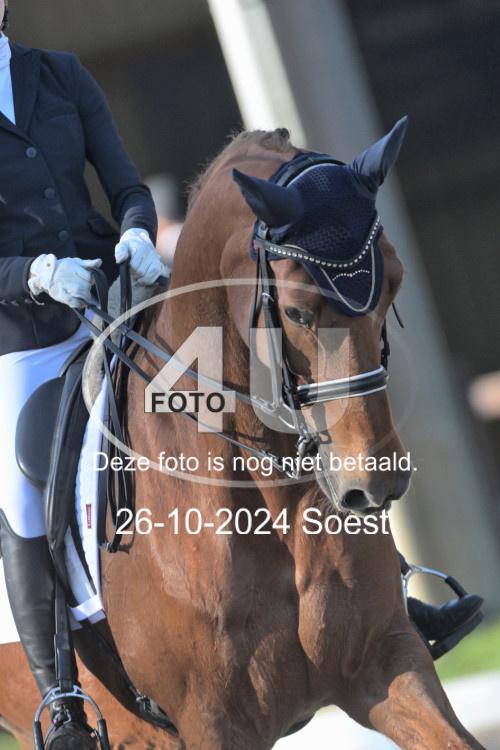 241026 1238