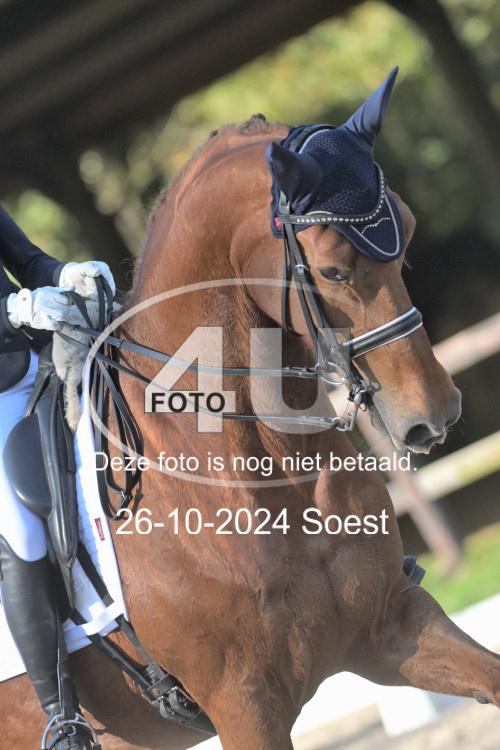 241026 1272
