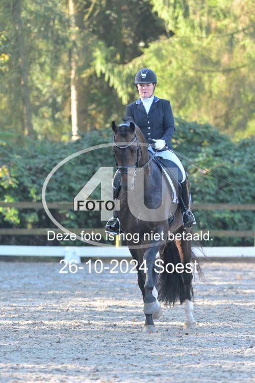 241026 1289