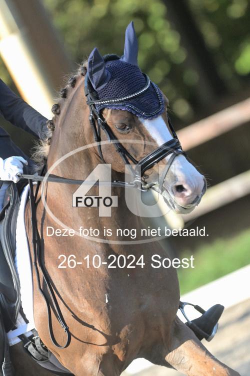 241026 1364