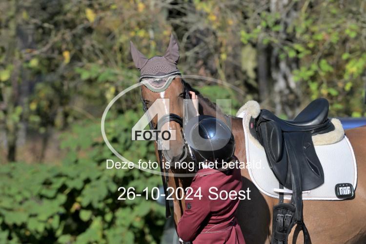 241026 1407