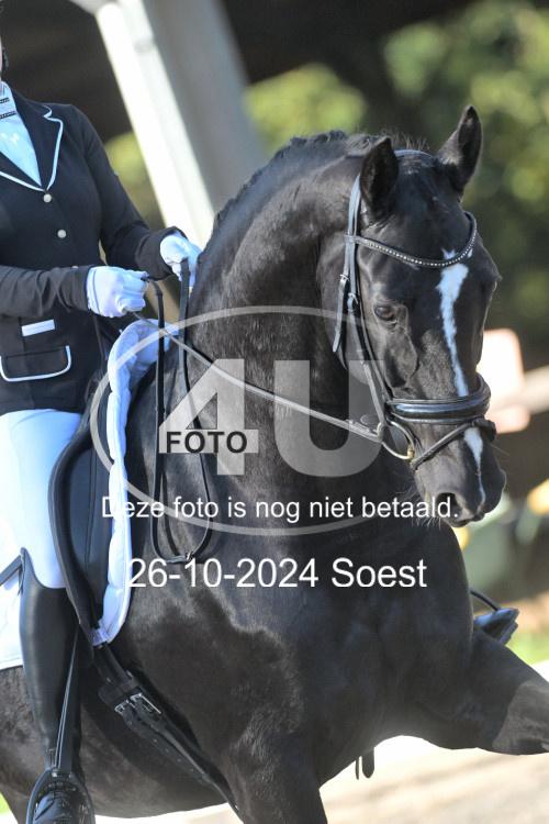 241026 1438