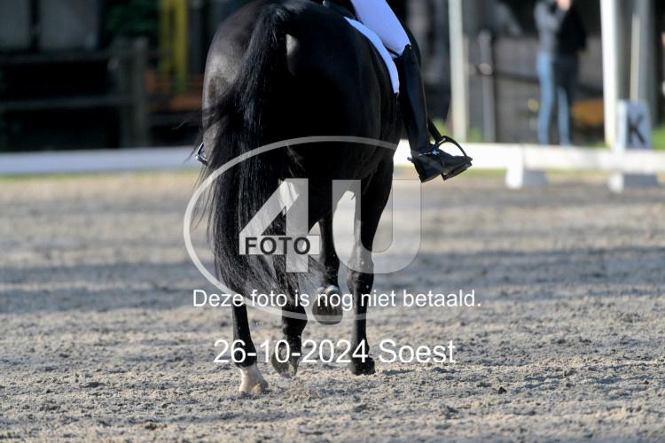 241026 1443