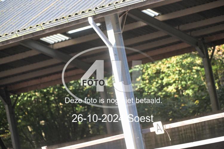 241026 1509