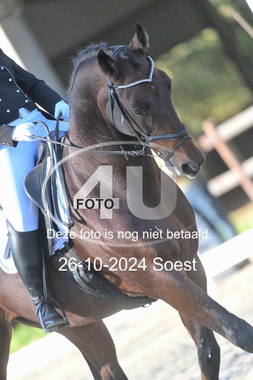 241026 1548