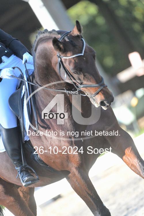 241026 1549