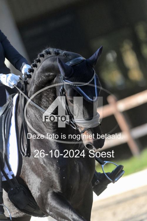 241026 1597