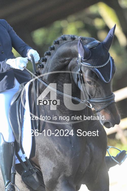 241026 1601