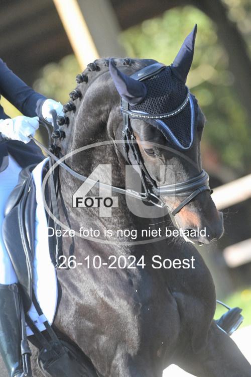 241026 1602