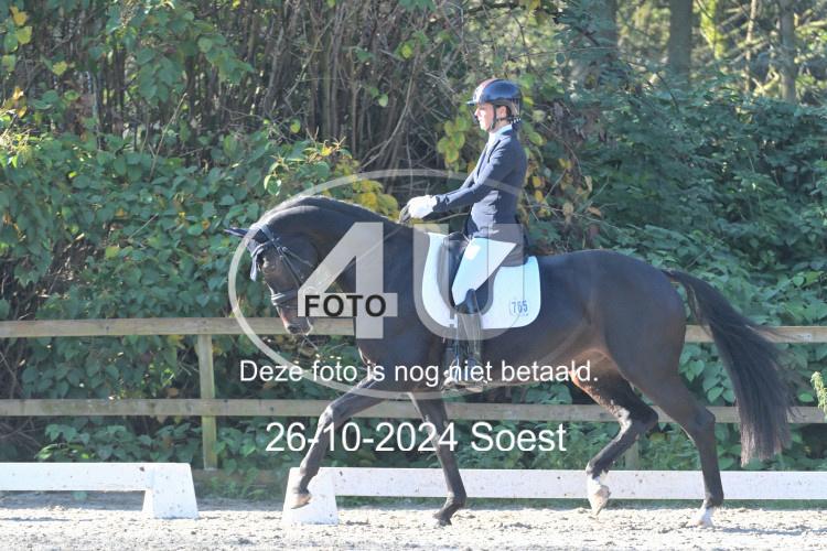 241026 1606