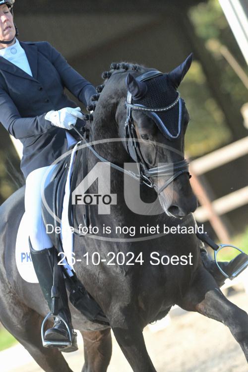 241026 1634