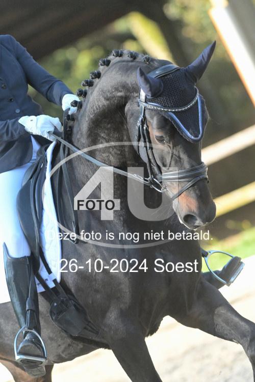 241026 1636
